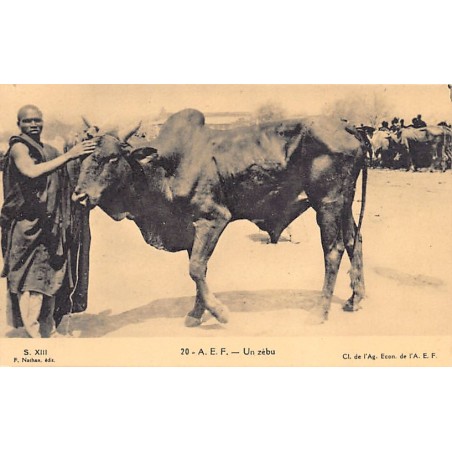 Rare collectable postcards of Congo - Brazzaville. Vintage Postcards of Congo - Brazzaville
