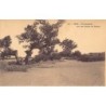 Rare collectable postcards of Mali. Vintage Postcards of Mali