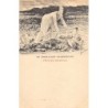 Rare collectable postcards of South Africa. Vintage Postcards of South Africa