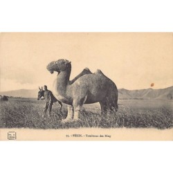 Rare collectable postcards of China. Vintage Postcards of China
