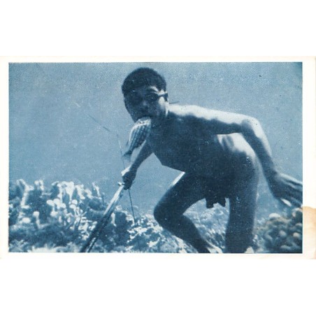 Rare collectable postcards of Timor. Vintage Postcards of Timor
