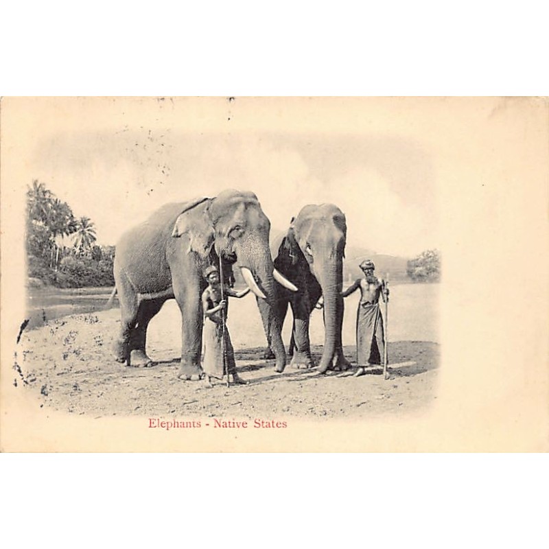 Rare collectable postcards of Malaysia. Vintage Postcards of Malaysia