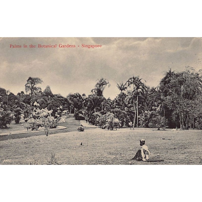 Rare collectable postcards of Singapore. Vintage Postcards of Singapore