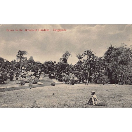 Rare collectable postcards of Singapore. Vintage Postcards of Singapore