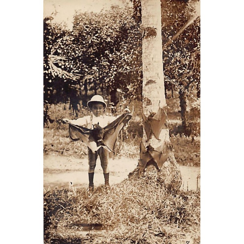 Rare collectable postcards of Singapore. Vintage Postcards of Singapore
