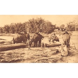 Rare collectable postcards of Thailand. Vintage Postcards of Thailand