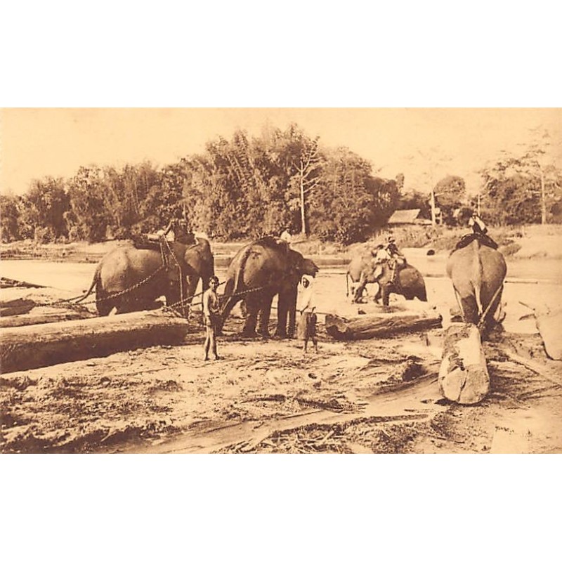 Rare collectable postcards of Thailand. Vintage Postcards of Thailand