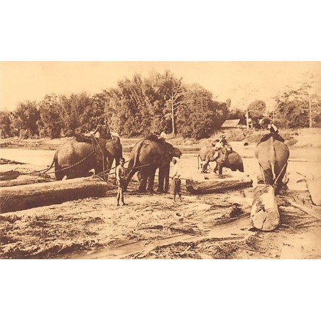 Rare collectable postcards of Thailand. Vintage Postcards of Thailand