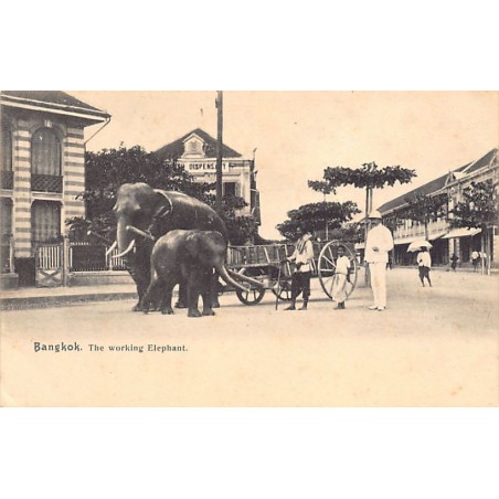 Rare collectable postcards of Thailand. Vintage Postcards of Thailand