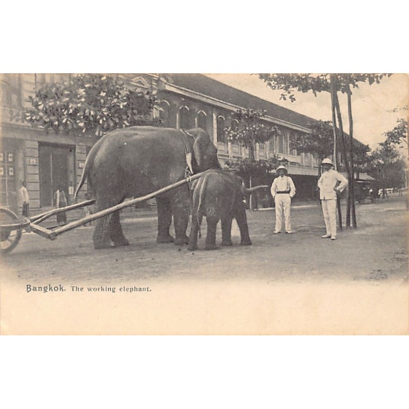 Rare collectable postcards of Thailand. Vintage Postcards of Thailand
