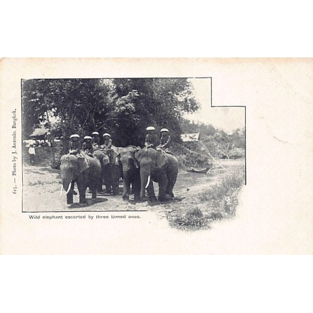 Rare collectable postcards of Thailand. Vintage Postcards of Thailand