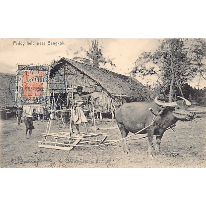 Rare collectable postcards of Thailand. Vintage Postcards of Thailand