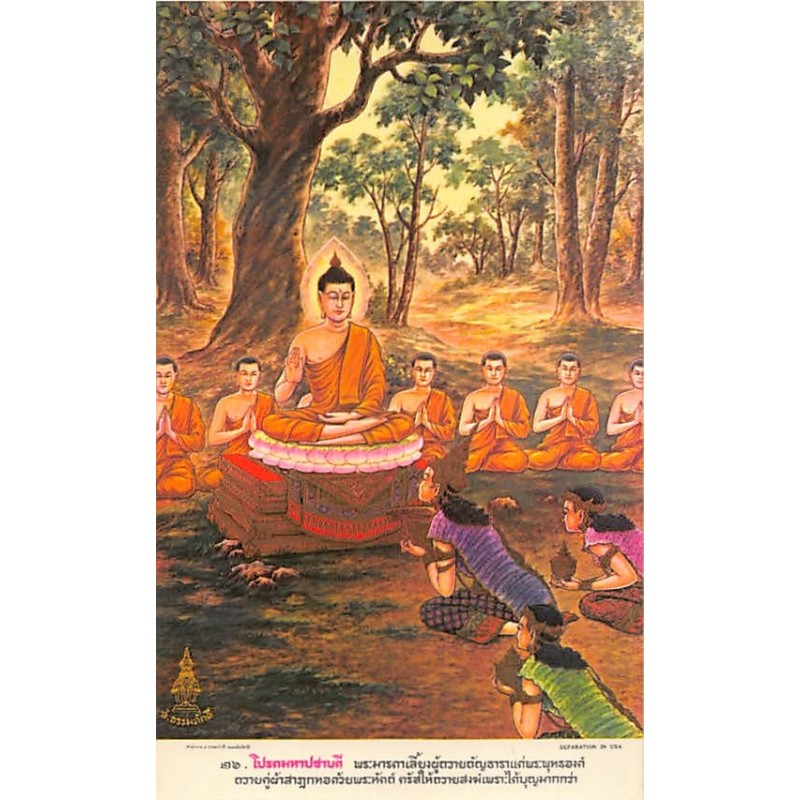 Rare collectable postcards of Thailand. Vintage Postcards of Thailand