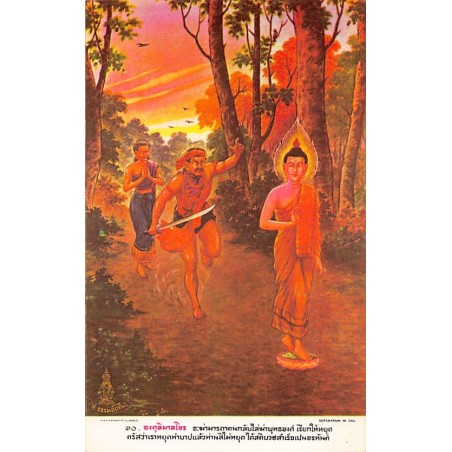 Rare collectable postcards of Thailand. Vintage Postcards of Thailand