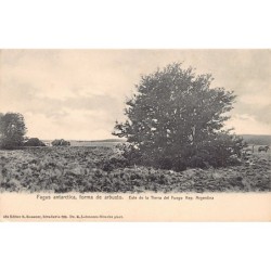 Rare collectable postcards of Argentina. Vintage Postcards of Argentina