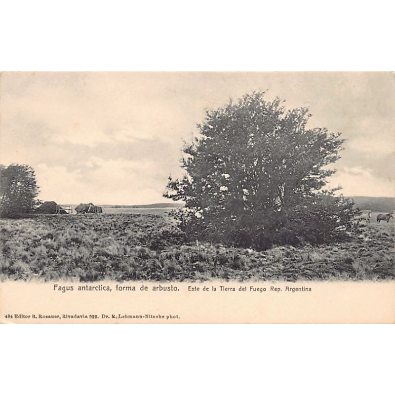 Rare collectable postcards of Argentina. Vintage Postcards of Argentina