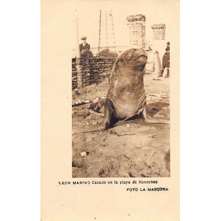 Rare collectable postcards of Argentina. Vintage Postcards of Argentina