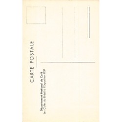 Rare collectable postcards of Brazil. Vintage Postcards of Brazil