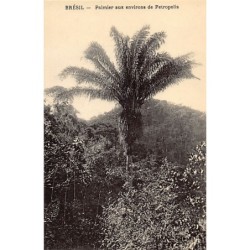 Rare collectable postcards of Brazil. Vintage Postcards of Brazil