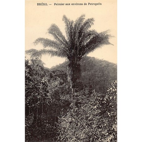 Rare collectable postcards of Brazil. Vintage Postcards of Brazil