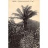 Rare collectable postcards of Brazil. Vintage Postcards of Brazil
