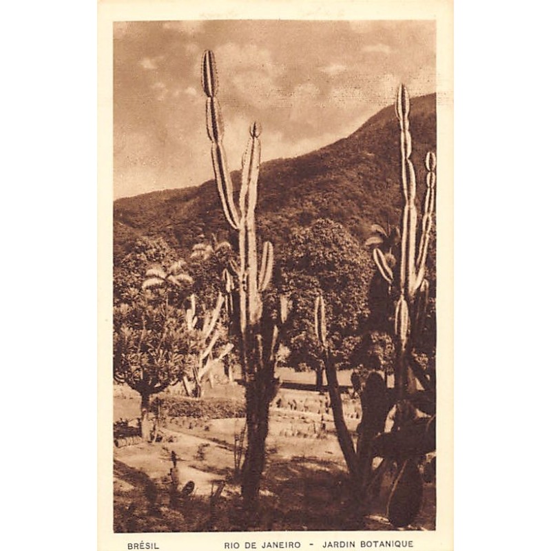 Rare collectable postcards of Brazil. Vintage Postcards of Brazil