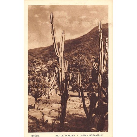 Rare collectable postcards of Brazil. Vintage Postcards of Brazil