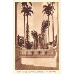 Rare collectable postcards of Brazil. Vintage Postcards of Brazil