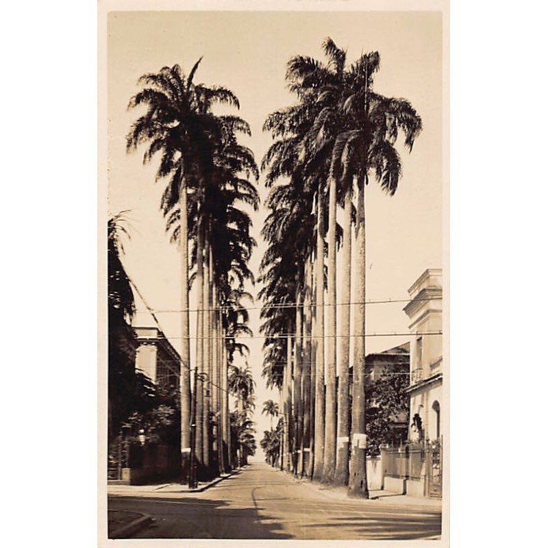 Rare collectable postcards of Brazil. Vintage Postcards of Brazil