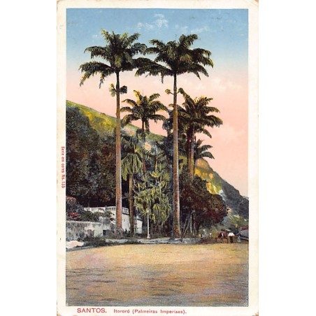 Rare collectable postcards of Brazil. Vintage Postcards of Brazil