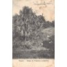 Rare collectable postcards of Brazil. Vintage Postcards of Brazil