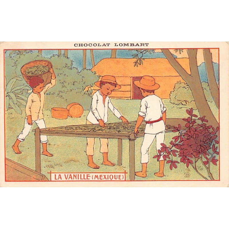 Rare collectable postcards of Mexico. Vintage Postcards of Mexico