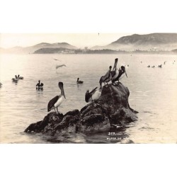 Rare collectable postcards of Mexico. Vintage Postcards of Mexico