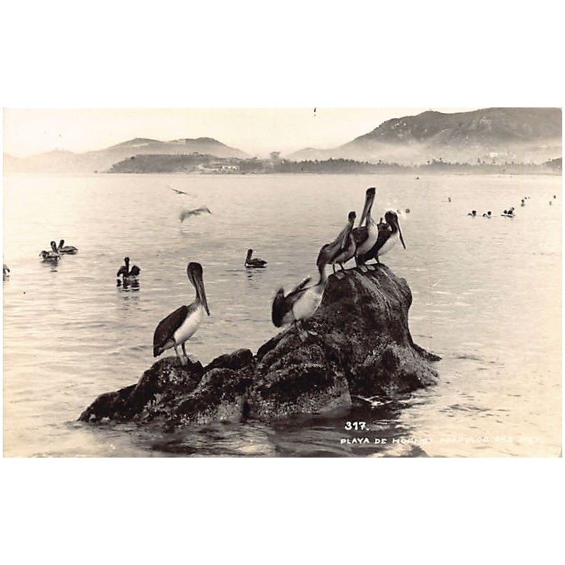 Rare collectable postcards of Mexico. Vintage Postcards of Mexico