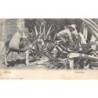 Rare collectable postcards of Mexico. Vintage Postcards of Mexico
