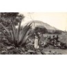 Rare collectable postcards of Mexico. Vintage Postcards of Mexico
