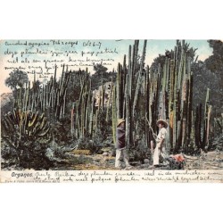 Rare collectable postcards of Mexico. Vintage Postcards of Mexico
