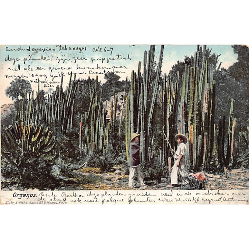 Rare collectable postcards of Mexico. Vintage Postcards of Mexico