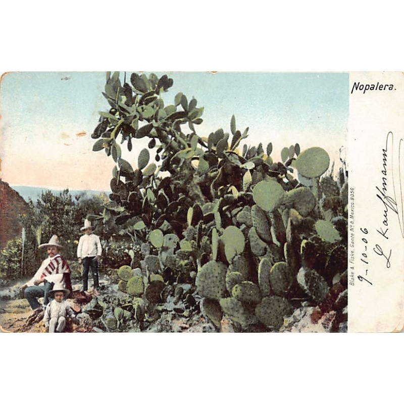 Rare collectable postcards of Mexico. Vintage Postcards of Mexico