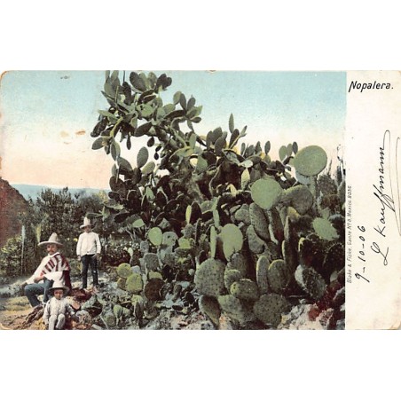 Rare collectable postcards of Mexico. Vintage Postcards of Mexico