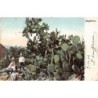 Rare collectable postcards of Mexico. Vintage Postcards of Mexico