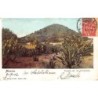 Rare collectable postcards of Mexico. Vintage Postcards of Mexico