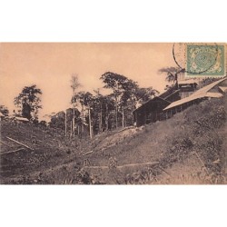 Rare collectable postcards of Surinam. Vintage Postcards of Surinam