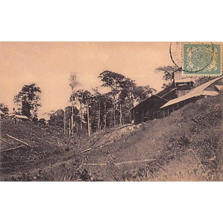 Rare collectable postcards of Surinam. Vintage Postcards of Surinam
