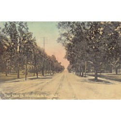 Rare collectable postcards of United States. Vintage Postcards of United States