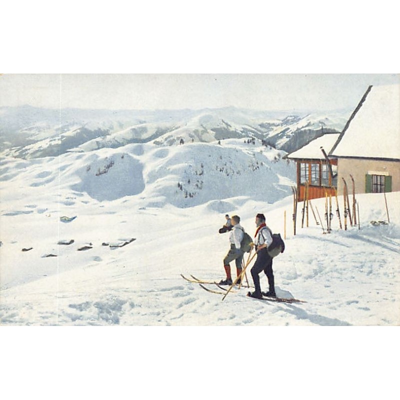 Rare collectable postcards of Austria. Vintage Postcards of Austria