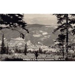 Rare collectable postcards of Austria. Vintage Postcards of Austria