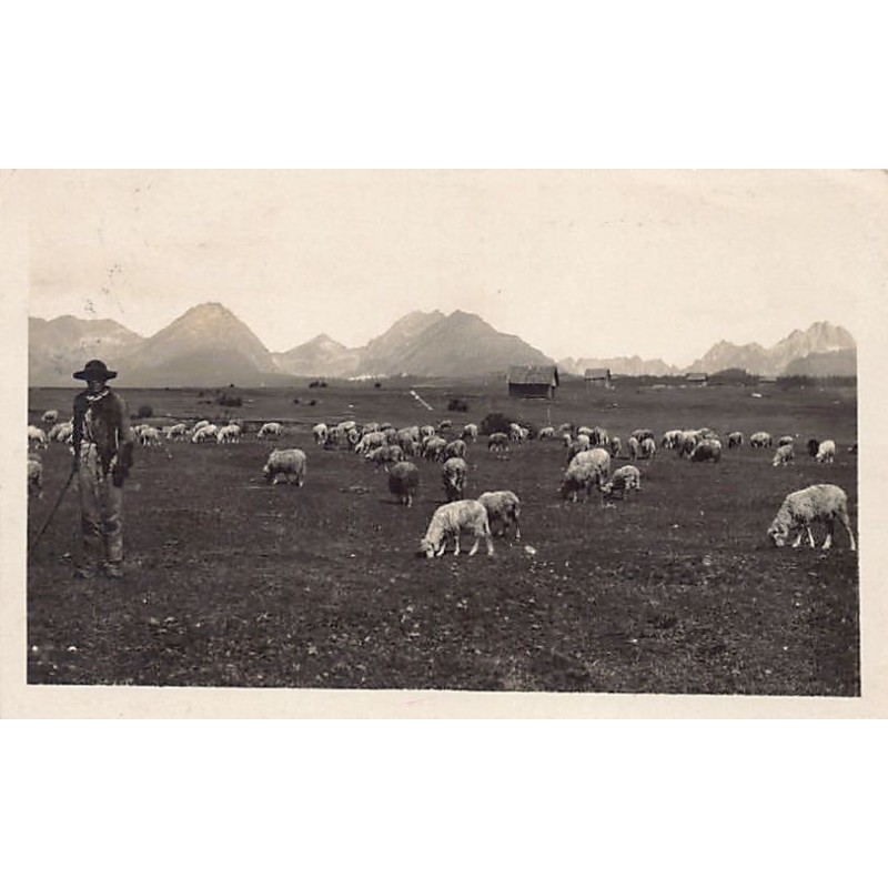 Rare collectable postcards of Czech Republic. Vintage Postcards of Czech Republic