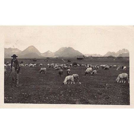 Rare collectable postcards of Czech Republic. Vintage Postcards of Czech Republic
