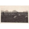 Rare collectable postcards of Czech Republic. Vintage Postcards of Czech Republic